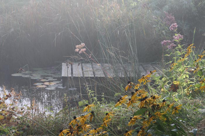 Naturgarten-Teich