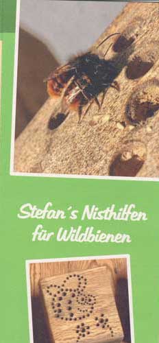 Wildbienen